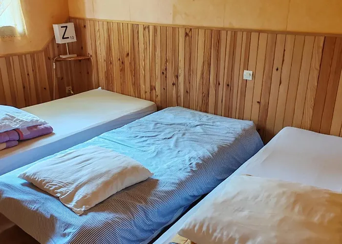 Domaine La Butte De Lauray * Moncontour (Vienne)